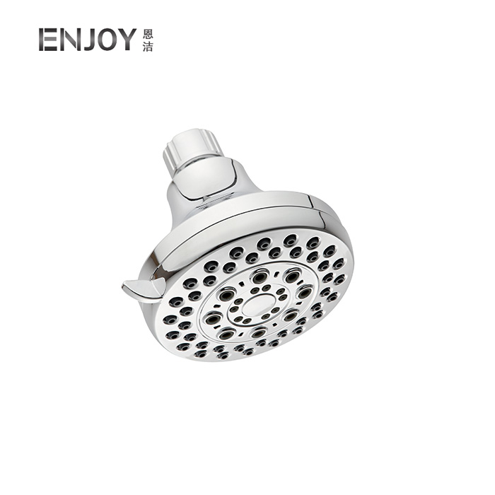 Five function shower head-C21152